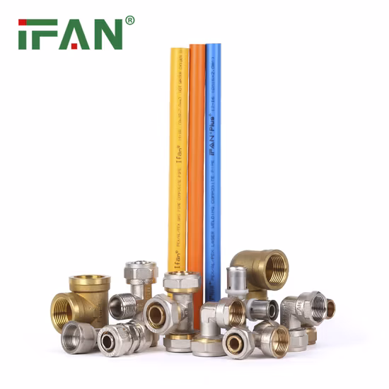 Ifan Customized Threaded Socket PPR Pipe Fitting Plumbing Fitting