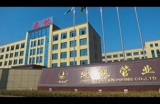 Ifan Customized Threaded Socket PPR Pipe Fitting Plumbing Fitting